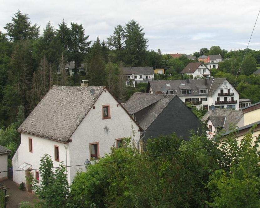 Um Die Ecke Manderscheid Exterior photo